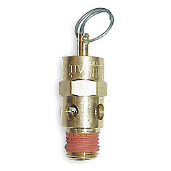 check valve